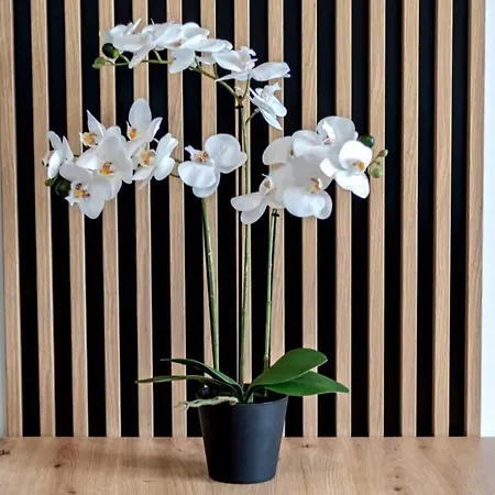 Stablewskiego Spot 아파트