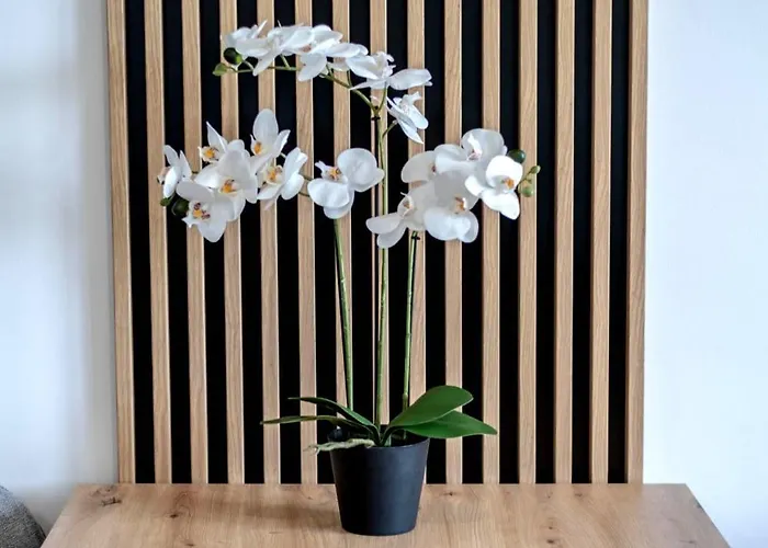 Stablewskiego Spot דירה